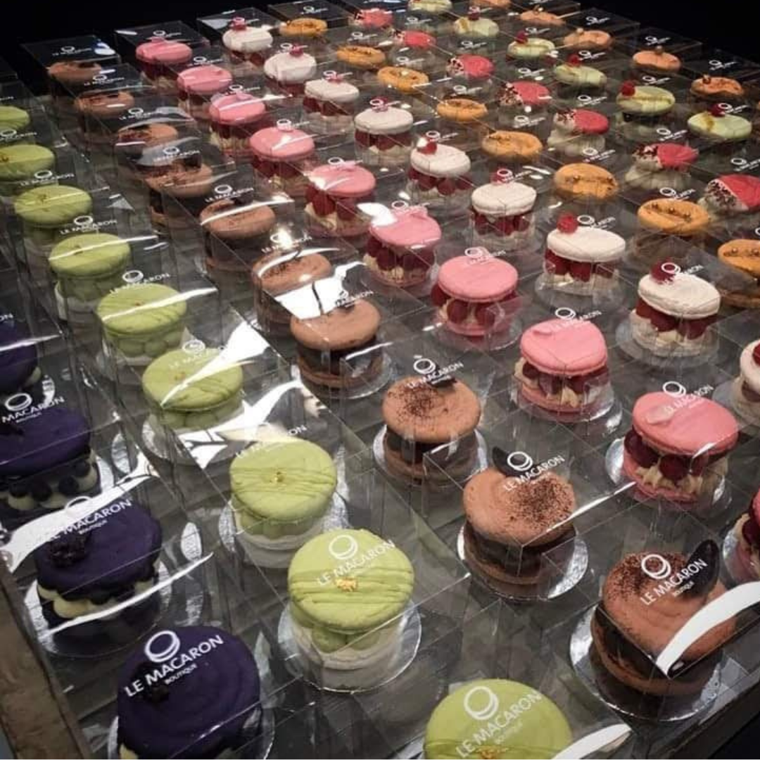 Diseño sin título - 2024-08-01T154906.244