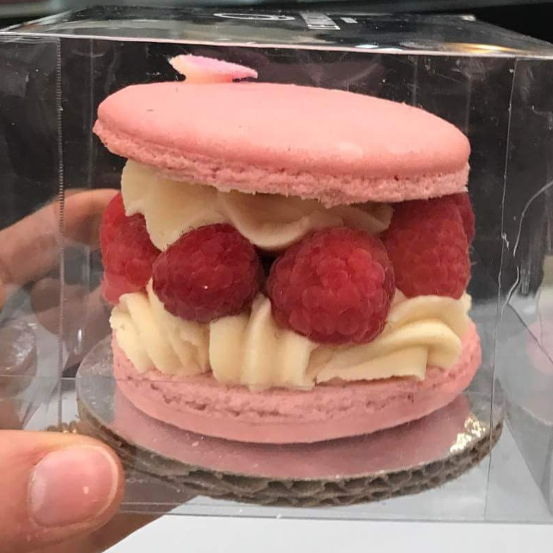 Diseño sin título - 2024-08-01T160917.766