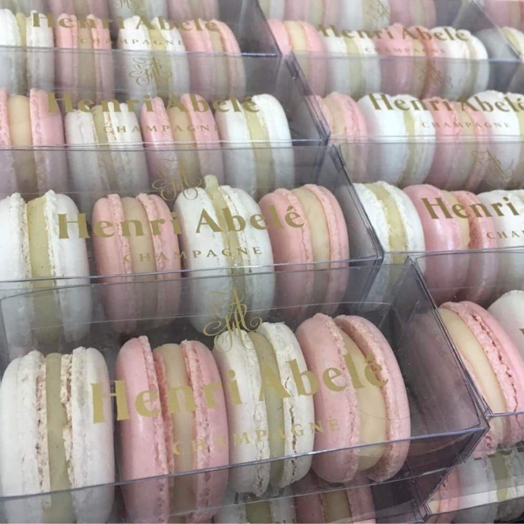 Diseño sin título - 2024-08-01T161017.689